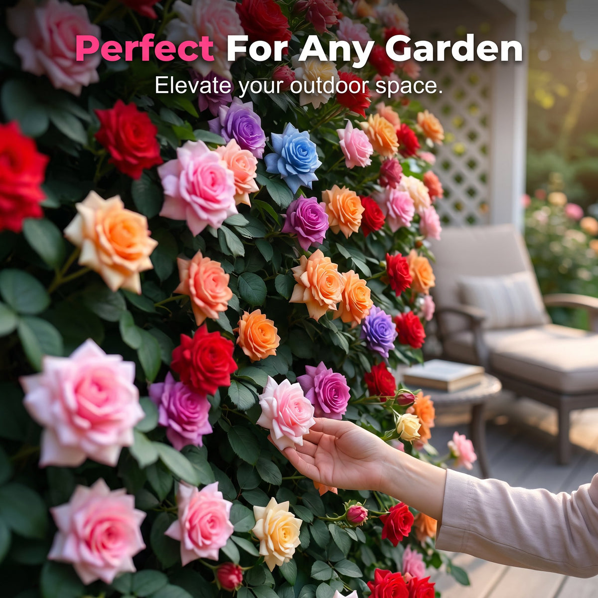 🔥Mixed Rose Seeds—Turn Your Garden Into a Living Bouquet 🌹