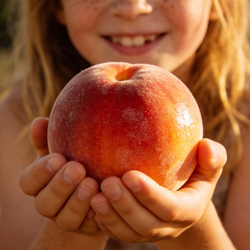 🔥 65K+ SOLD! 🍑 Peach Tree Seeds – Grow Sweet, Juicy Peaches at Home🌱