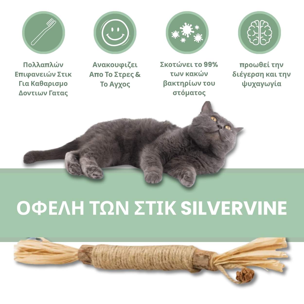 🔥HOT SALE 49% OFF🔥Cat Teething Stick  Catnip Chew Toy  Dental Care Bell