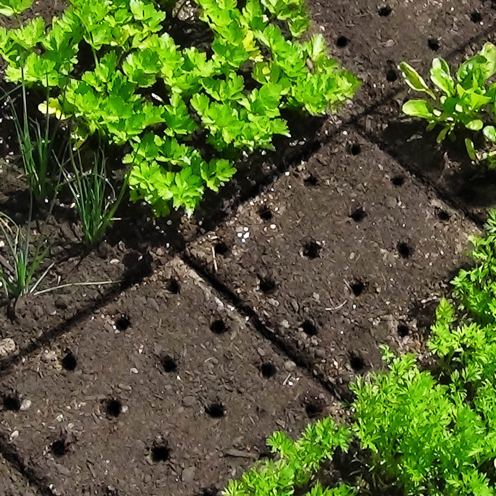 🔥HOT SALE 49%OFF🔥 Seeding Square-Garden Planting Template