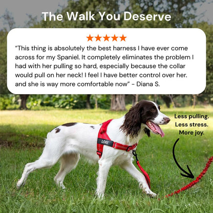 ParoPet No-Pull Dog Harness | Front Clip Control Adjustable Pet Vest